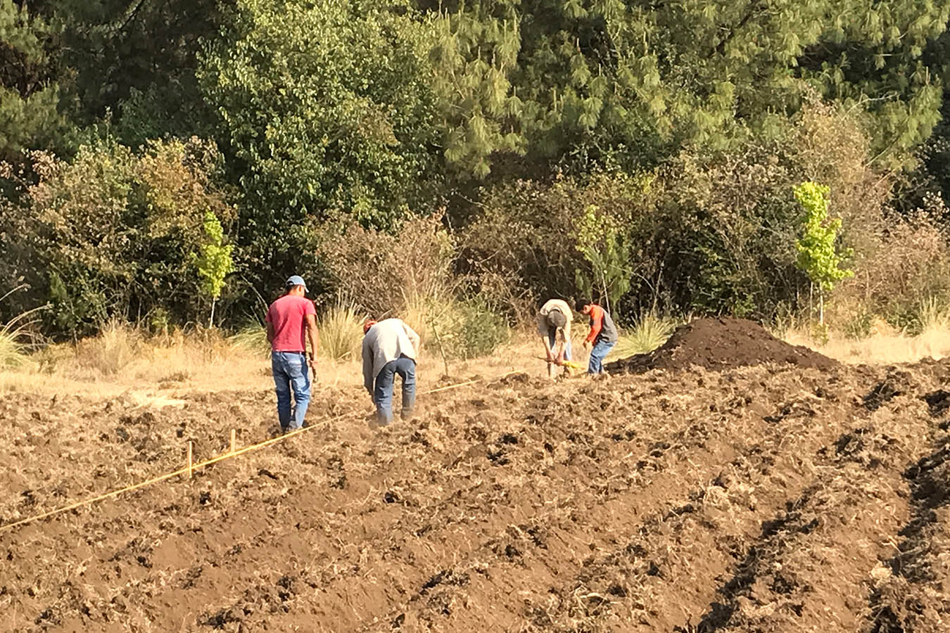 Recupera La Fertilidad De Tu Suelo Con Agrical