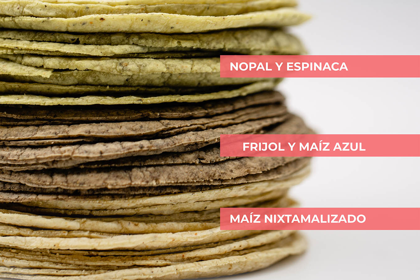 Nutritivas tortillas de maíz, frijol y nopal