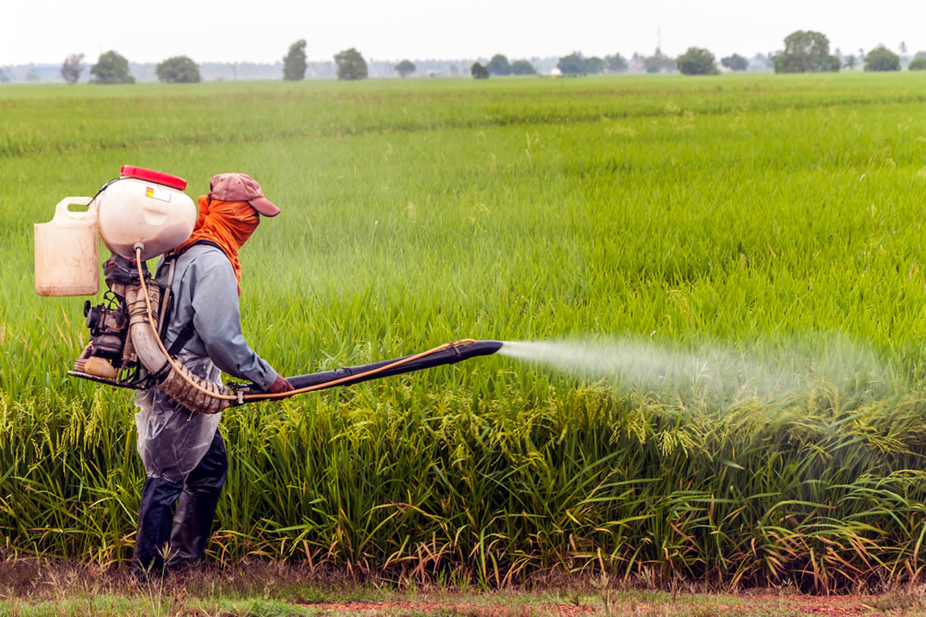 Se cedió a presiones de empresas como Bayer y Monsanto: Narro Céspedes