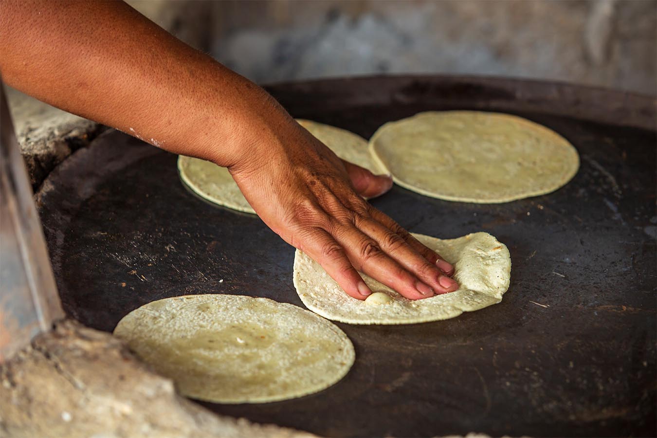 La Tortilla De Maíz Es Fuente De Salud