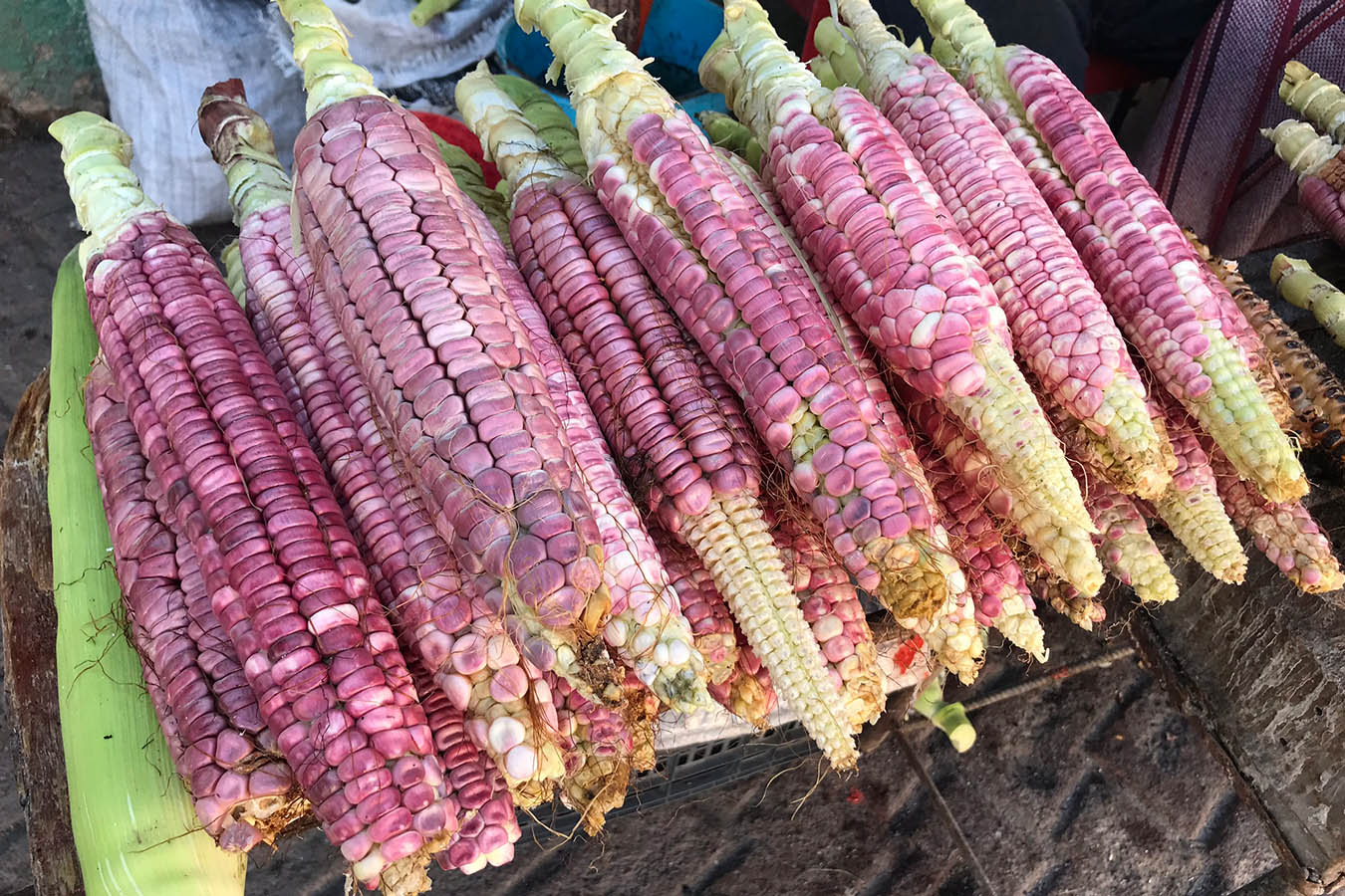 Cinco elotes para disfrutar en esta temporada