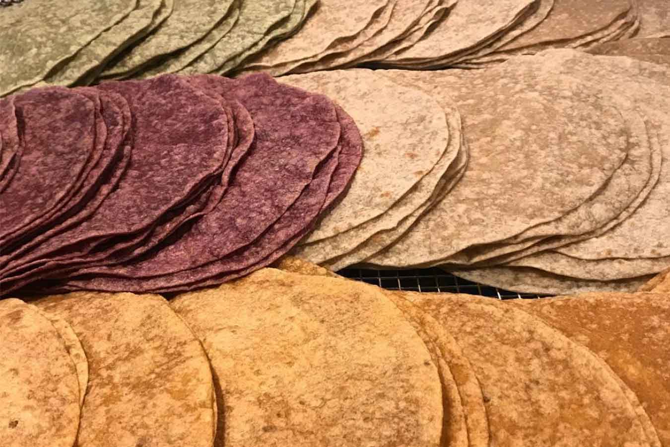 Tortillera mexicana para tortillas o tamales de venta en Alemania