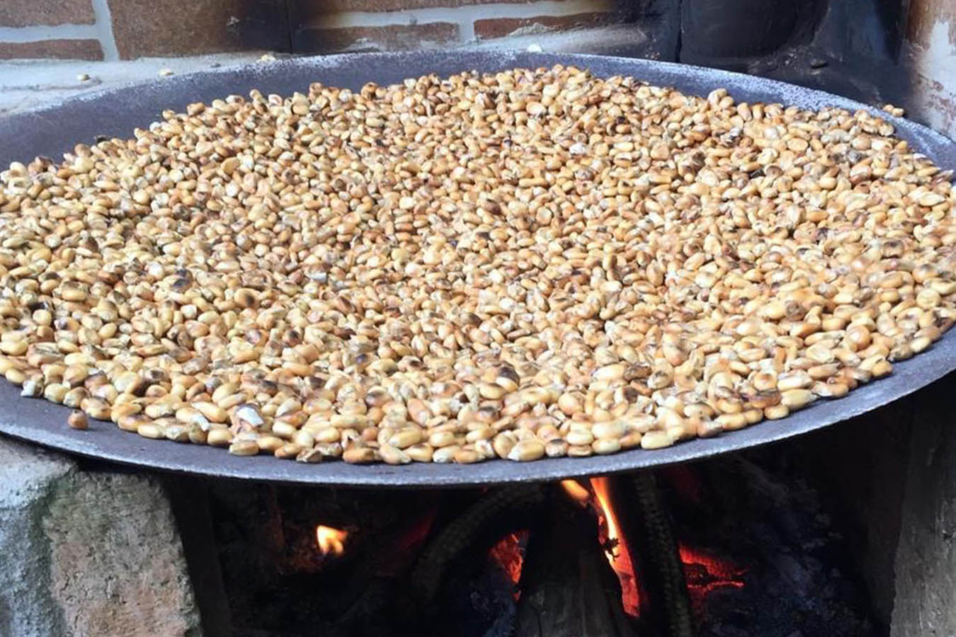 pinole de maiz tostado maiz criollo de nayarit