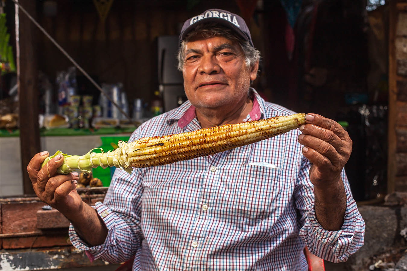maiz jala maiz criollo xala nayarit maiz de humedo