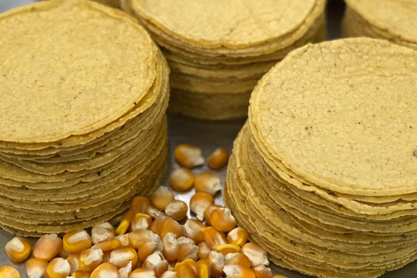 Tortillas de maíz mexicano en Ámsterdam