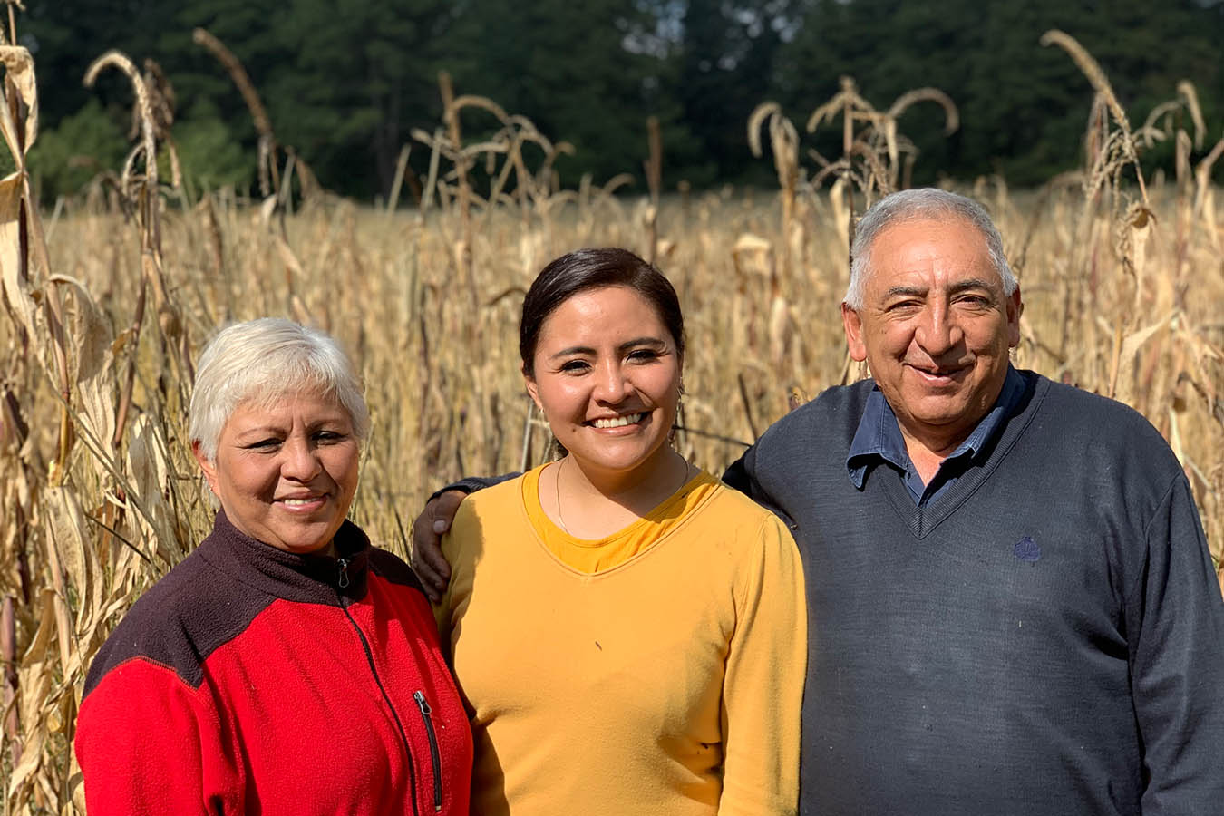 unidos por el maiz fundacion tortilla maiz mexicano maiz criollo