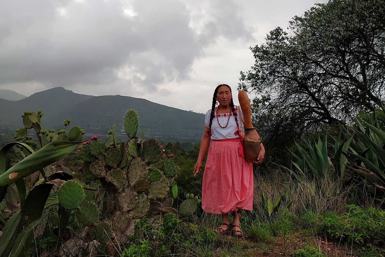 La milpa, tradición milenaria del campo mexicano - El Sol de