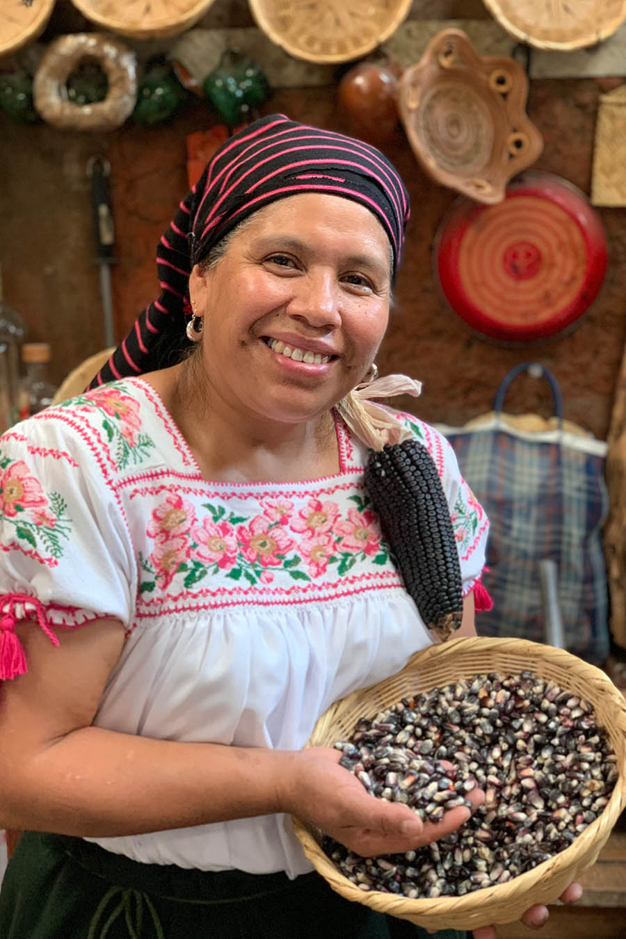 maiz azul maiz criollo tipos de maiz tortillas de maiz azul