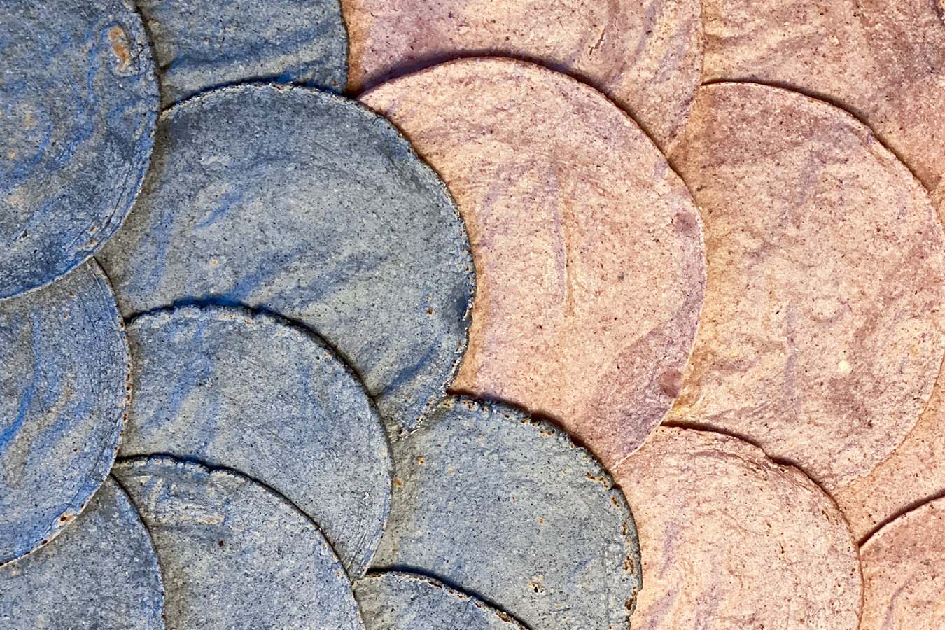 corn tortillas tortillas de maiz en estados unidos masazul