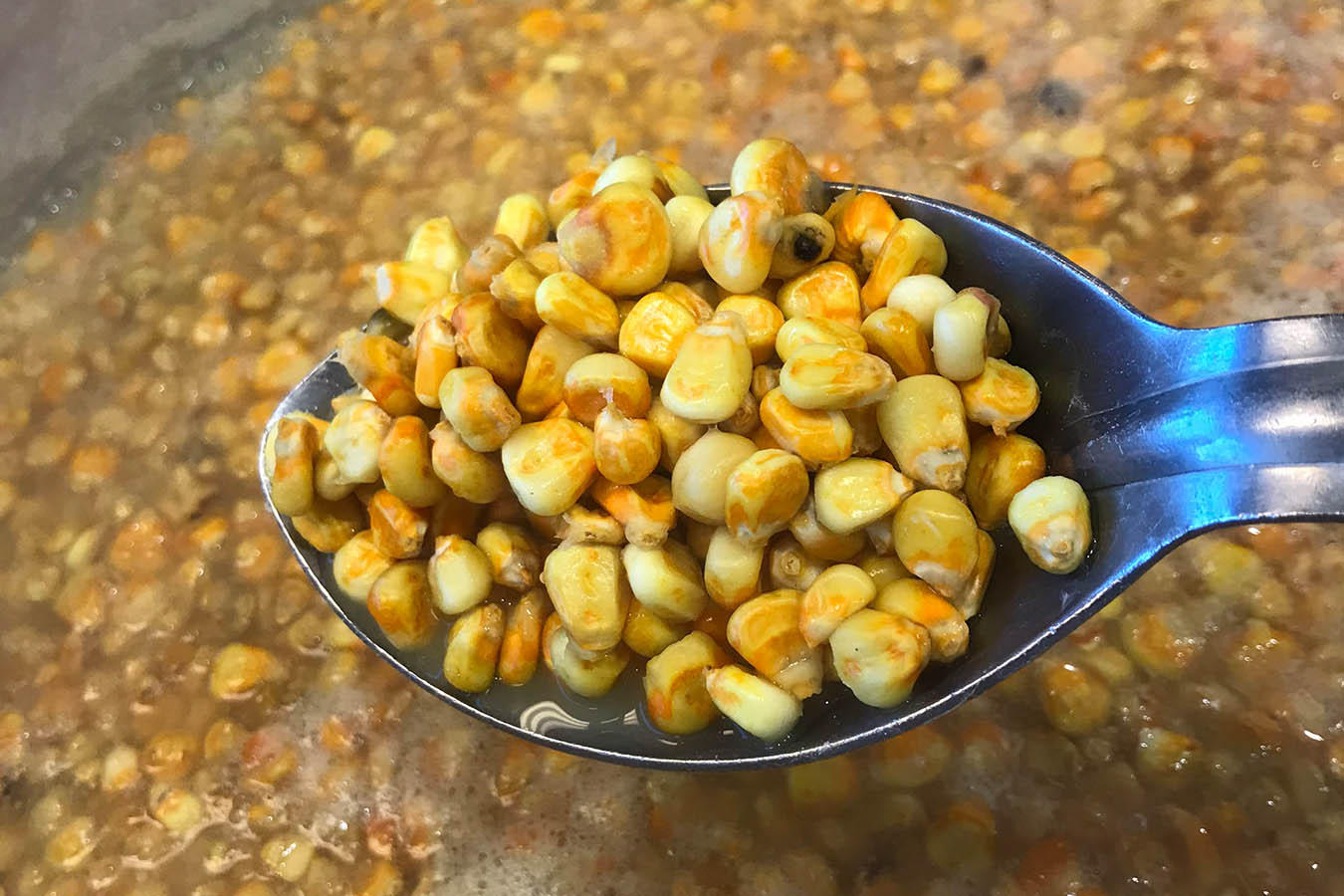 Haz en casa tortillas de maíz tradicionales