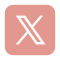 X (Twitter)